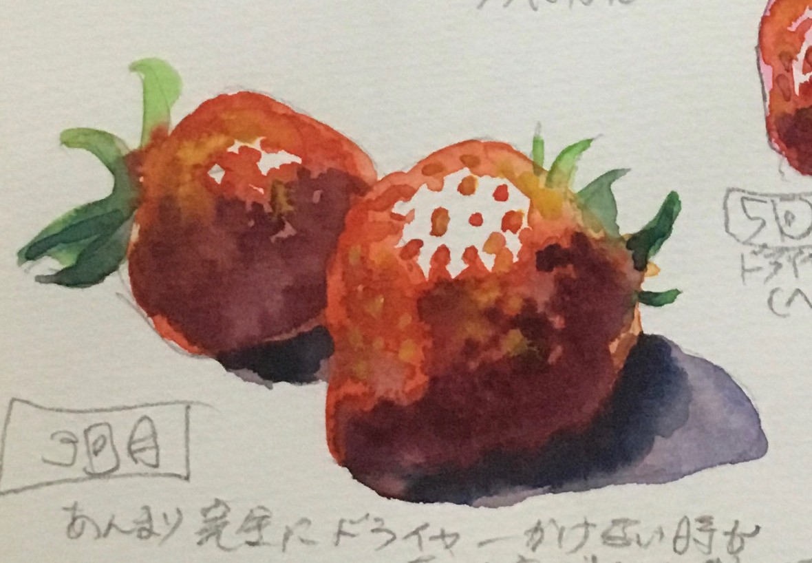 IMG_8781.jpeg